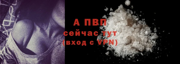 хмурый Гатчина