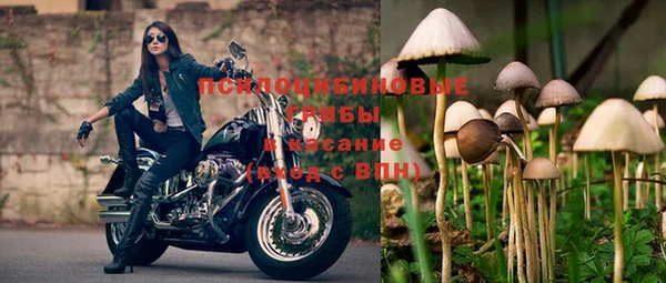 таблы Арсеньев