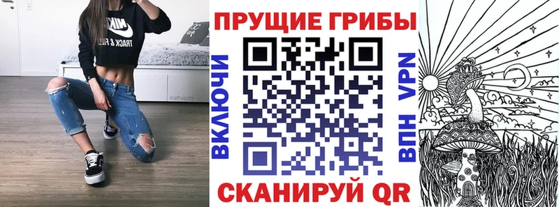 Галлюциногенные грибы GOLDEN TEACHER  Ясногорск 